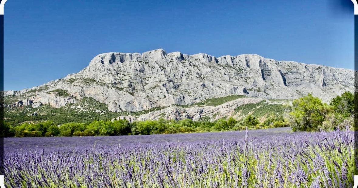 Le Clos D'Aix Studio 102 Parking Et Piscine Gratuite Aix-en-Provence Luaran gambar